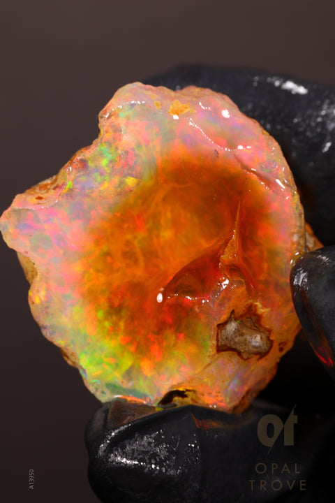 24.6 Rough Specimen