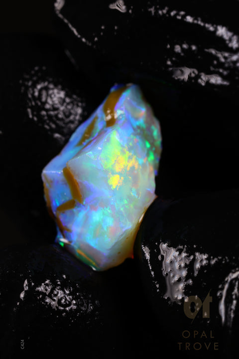 0.76g Rough Ethiopian Chalk Opal