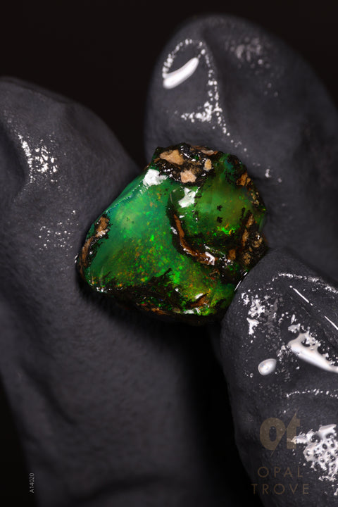 3.13g Rough Welo Ethiopian Specimen Opal