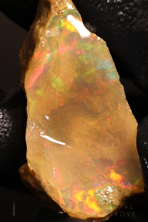 5.56g Rough Ethiopian Chalk Opal