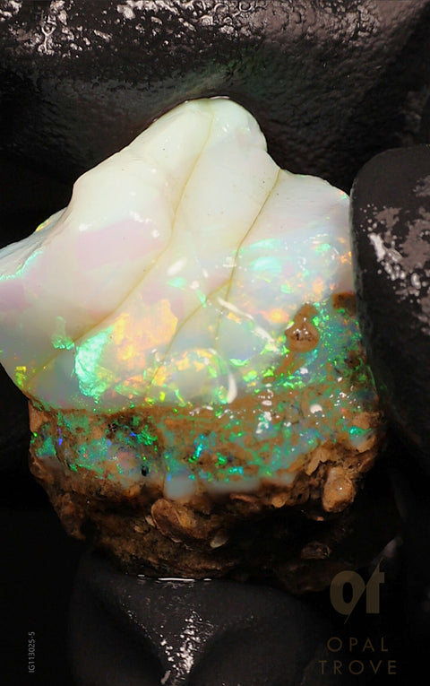 5.35g Rough Chalk Opal