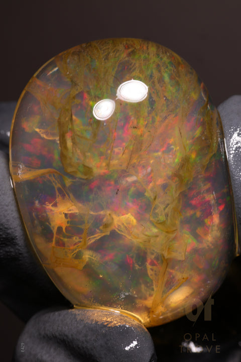 261.55ct Polished Ethiopian Specimen Welo Opal