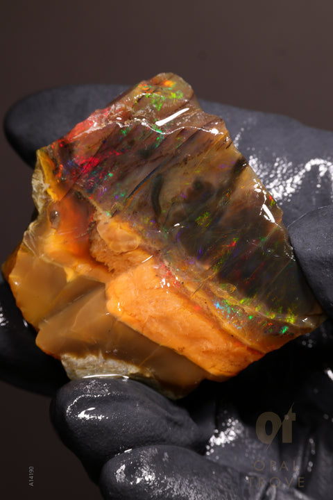 32.89g Rough Welo Ethiopian Specimen Opal