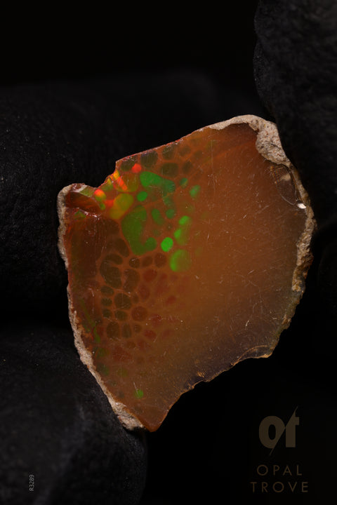 0.37g Rough Ethiopian Jewelry Grade Welo Opal