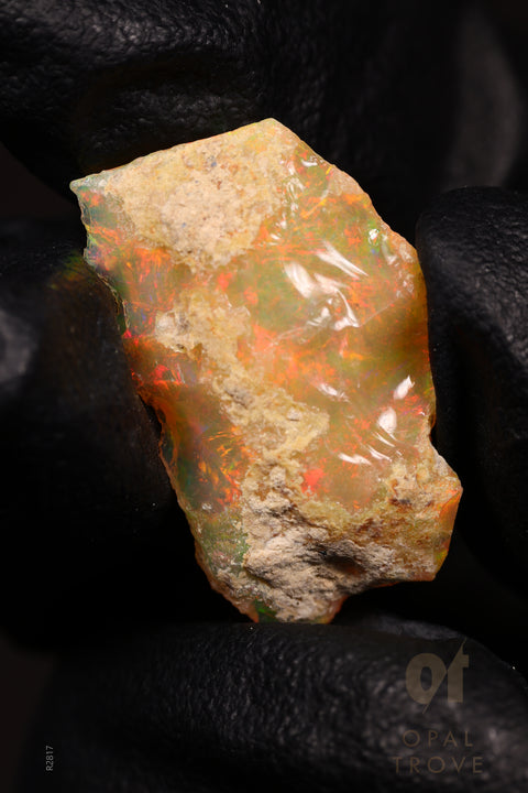 1.47g Rough Ethiopian Jewelry Grade Welo Opal