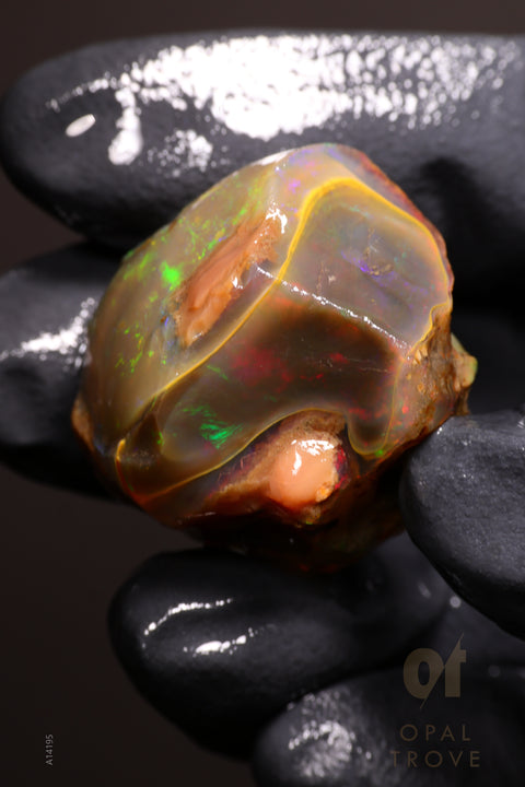 15.00g Rough Welo Ethiopian Specimen Opal