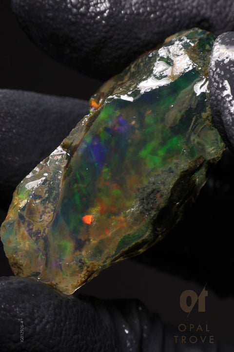 12.45g Rough Welo Ethiopian Specimen Opal