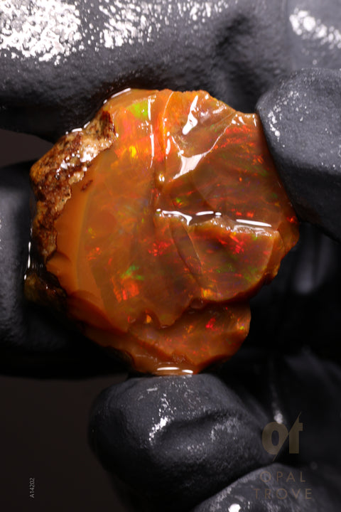 6.43g Rough Welo Ethiopian Specimen Opal
