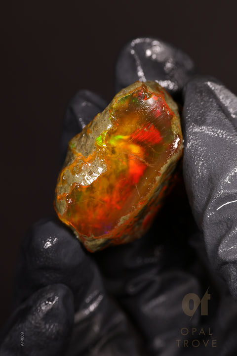 23.94g Rough Welo Ethiopian Specimen Opal