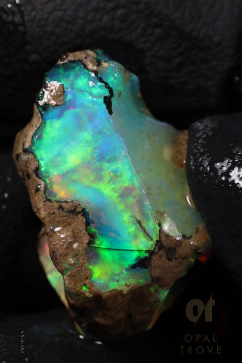 2.88g Rough Ethiopian Chalk Opal