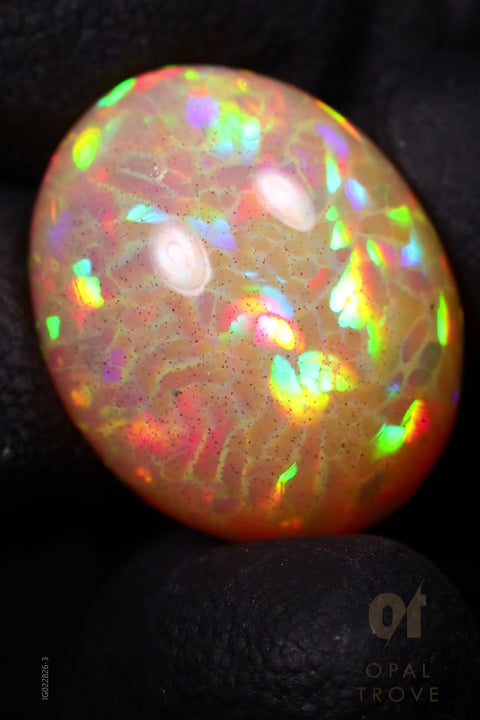 24.05ct Natural Ethiopian Round Cabochon