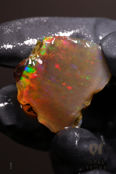 14.48g Rough Welo Ethiopian Specimen Opal