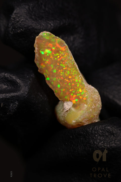 1.59g Rough Ethiopian Jewelry Grade Welo Opal