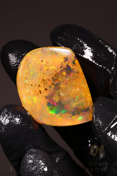 51.5 Polished Ethiopian Specimen Welo Opal