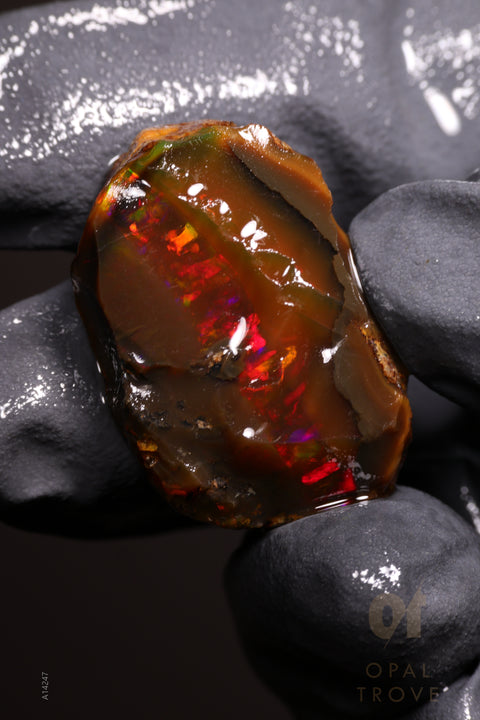 9.32g Rough Welo Ethiopian Specimen Opal