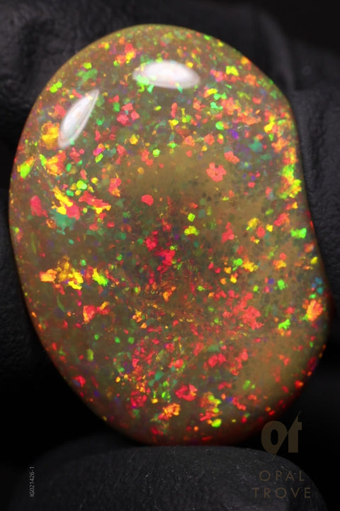 24.85ct Natural Ethiopian Round Cabochon