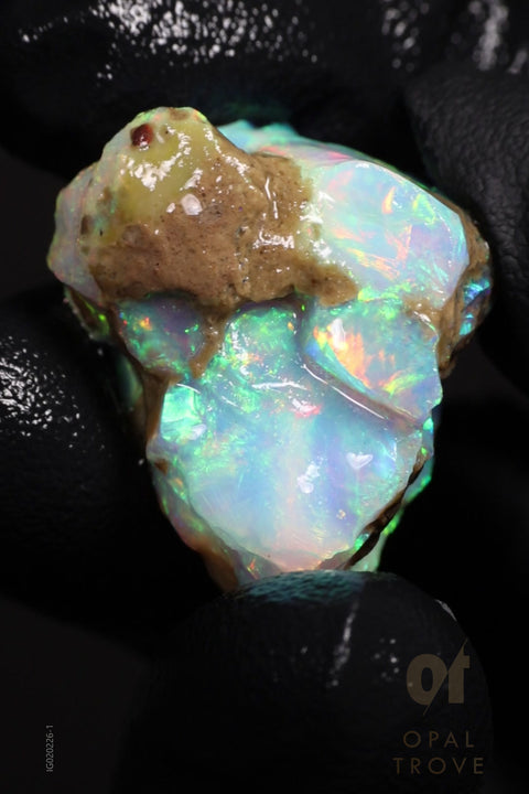 5.41g Rough Ethiopian Chalk Opal
