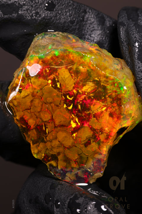 9.08 Rough Specimen
