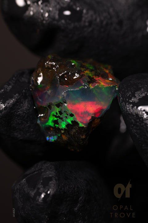 1.57g Rough Welo Ethiopian Specimen Opal