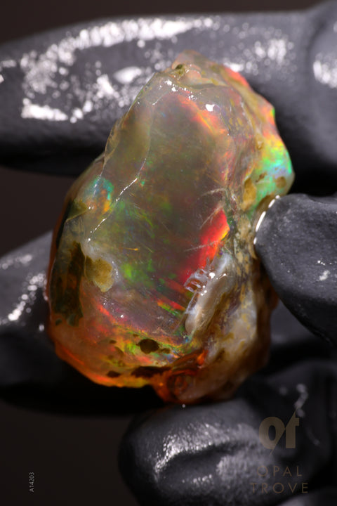 20.45g Rough Welo Ethiopian Specimen Opal