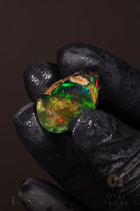 4.84g Rough Welo Ethiopian Specimen Opal
