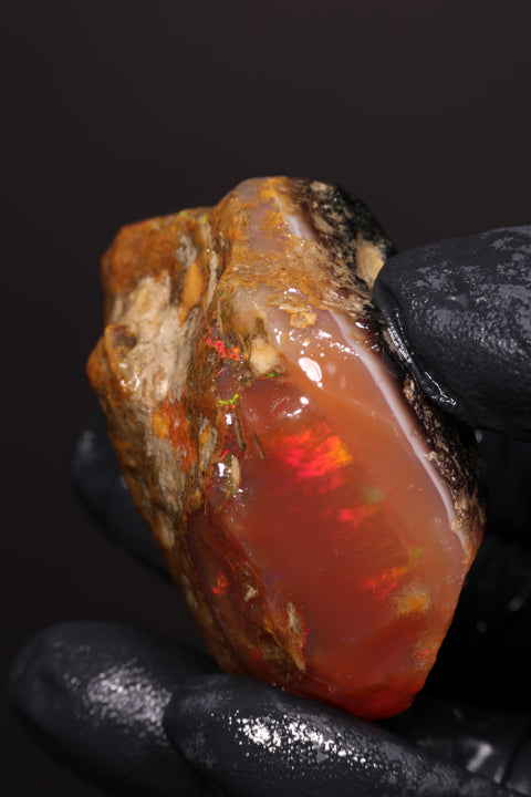 48.61g Rough Specimen