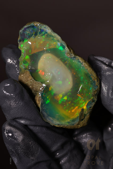 51.83g Rough Welo Ethiopian Specimen Opal