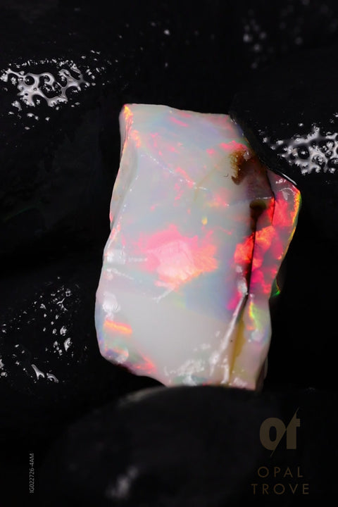 1.19g Rough Ethiopian Chalk Opal