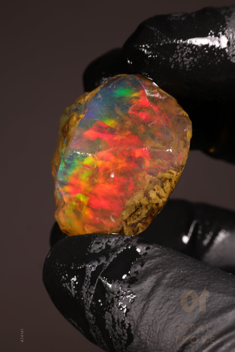 14.72g Rough Welo Ethiopian Specimen Opal