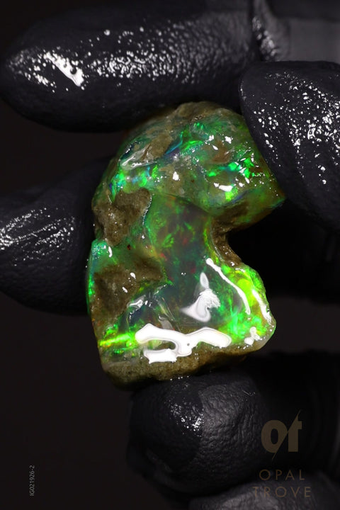 11.50g Rough Welo Ethiopian Specimen Opal