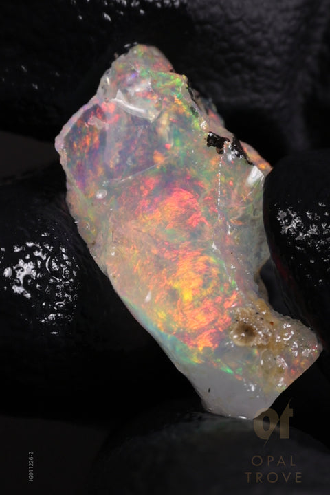 1.87g Rough Ethiopian Chalk Opal