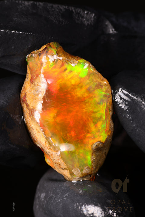 7.37g Rough Welo Ethiopian Specimen Opal