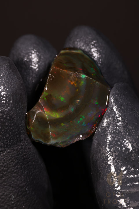 5.60g Rough Welo Ethiopian Specimen Opal