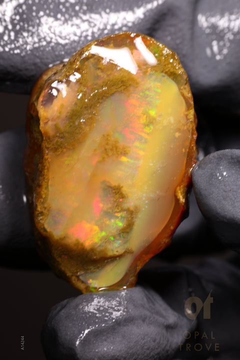 20.02g Rough Welo Ethiopian Specimen Opal