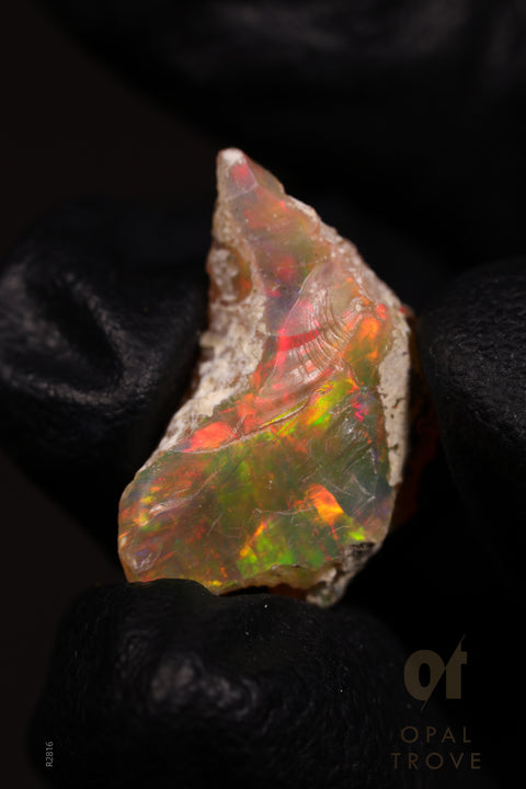 0.80g Rough Ethiopian Jewelry Grade Welo Opal