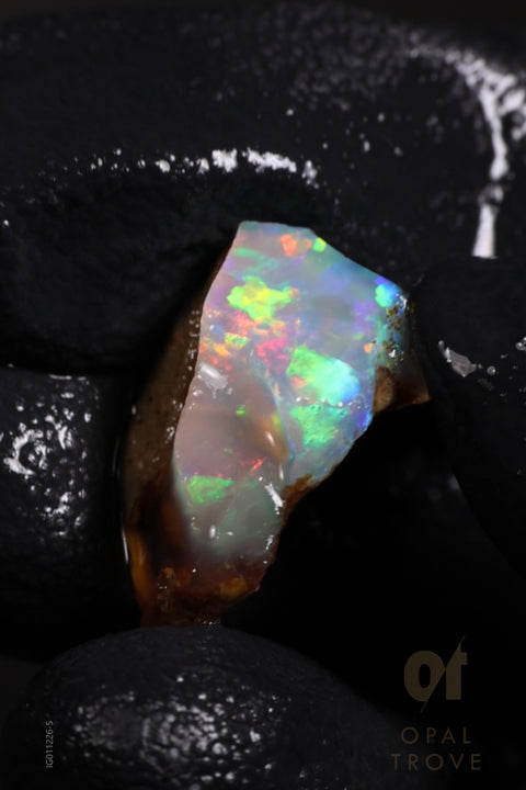 1.39g Rough Ethiopian Chalk Opal