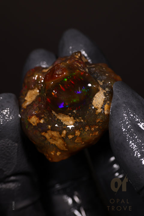 20.60g Rough Welo Ethiopian Specimen Opal