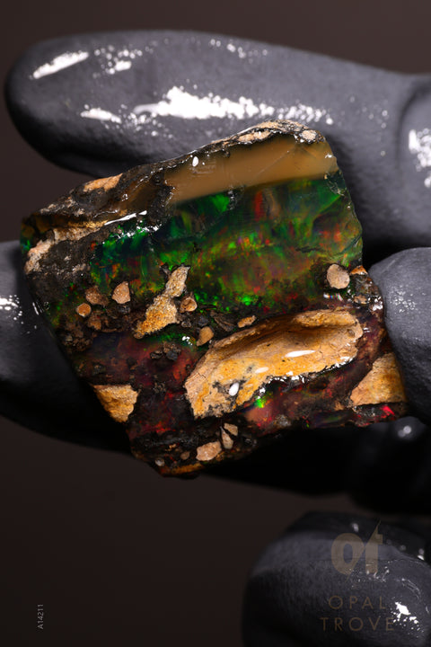 16.24g Rough Welo Ethiopian Specimen Opal