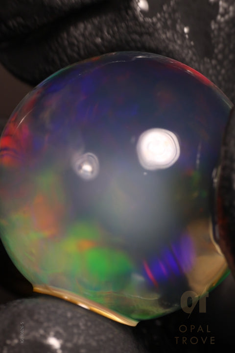 63.35ct Polished Ethiopian Specimen Welo Opal