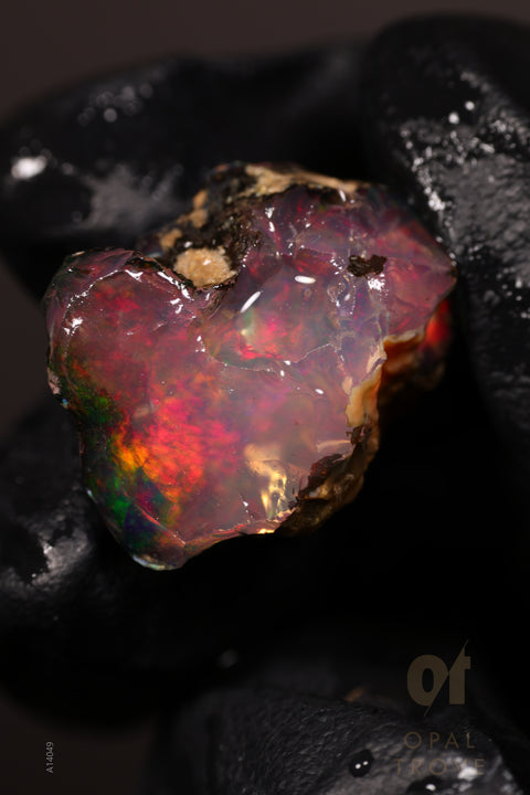 3.50g Rough Welo Ethiopian Specimen Opal