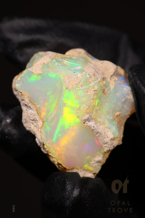 13.06g Rough Ethiopian Jewelry Grade Welo Opal