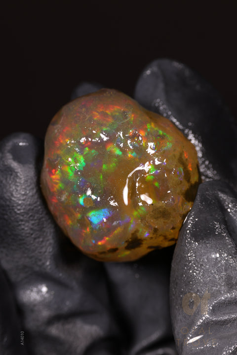 20.04g Rough Welo Ethiopian Specimen Opal