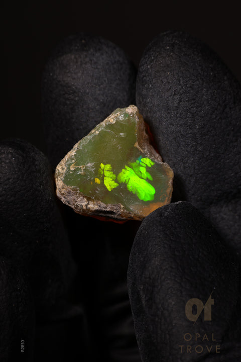 2.01g Rough Ethiopian Jewelry Grade Welo Opal