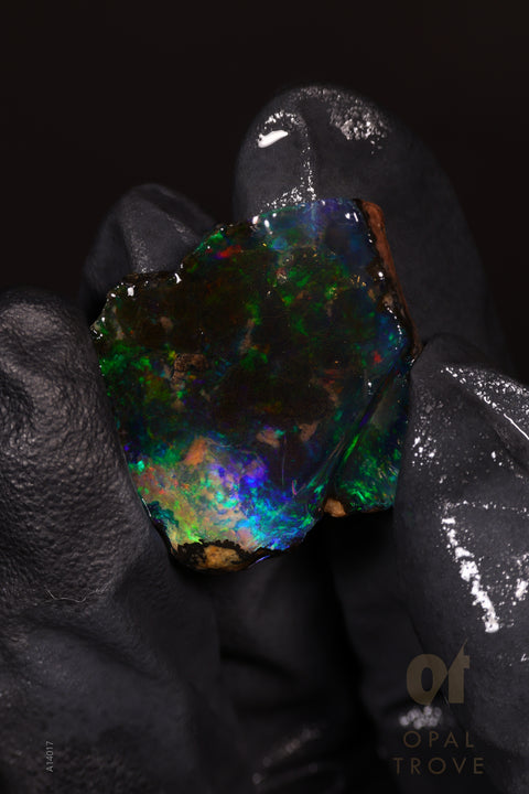 6.49g Rough Welo Ethiopian Specimen Opal