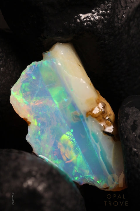 1.03g Rough Ethiopian Chalk Opal