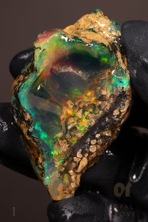 30.96g Rough Welo Ethiopian Specimen Opal
