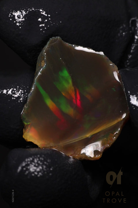 2.77g Rough Welo Ethiopian Specimen Opal