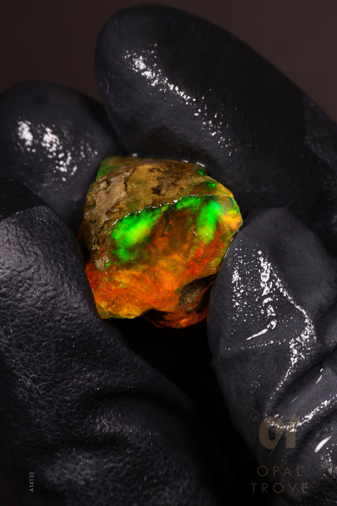 4.77g Rough Welo Ethiopian Specimen Opal