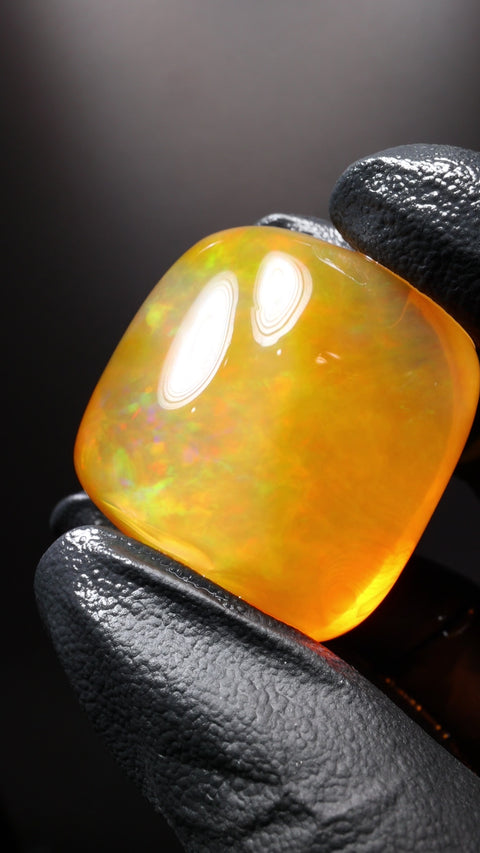 195.00ct Polished Specimen