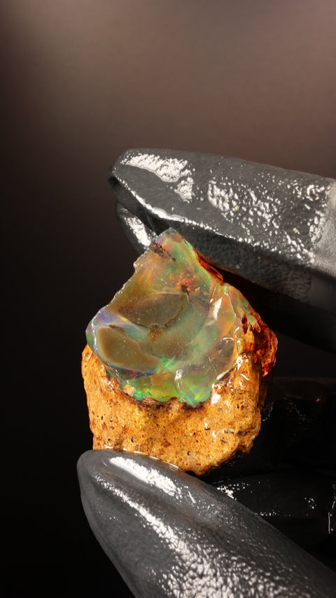 19.28g Rough Specimen